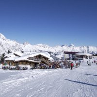 Berghut